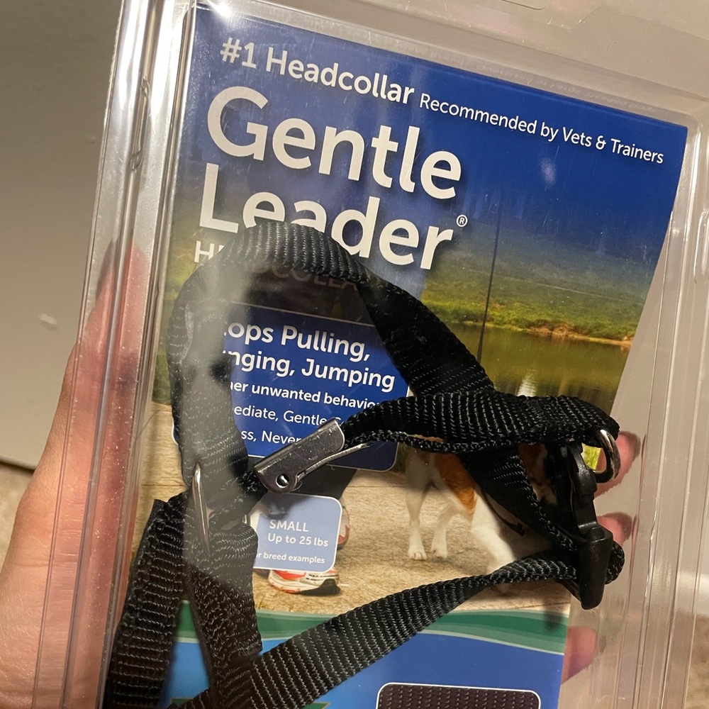 Pet safe gentle leader head collar for small dogs